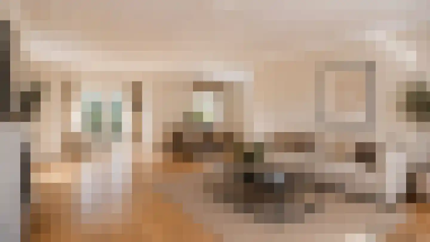Veenmos 8 Veenendaal thumbnail 5