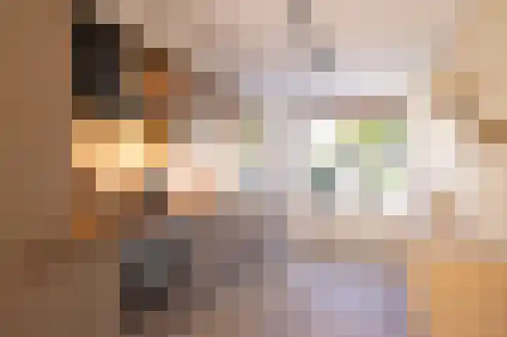 Veenmos 85 Zwolle thumbnail 13