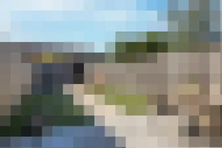 Veenmos 85 Zwolle thumbnail 15