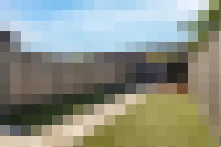 Veenmos 85 Zwolle thumbnail 16