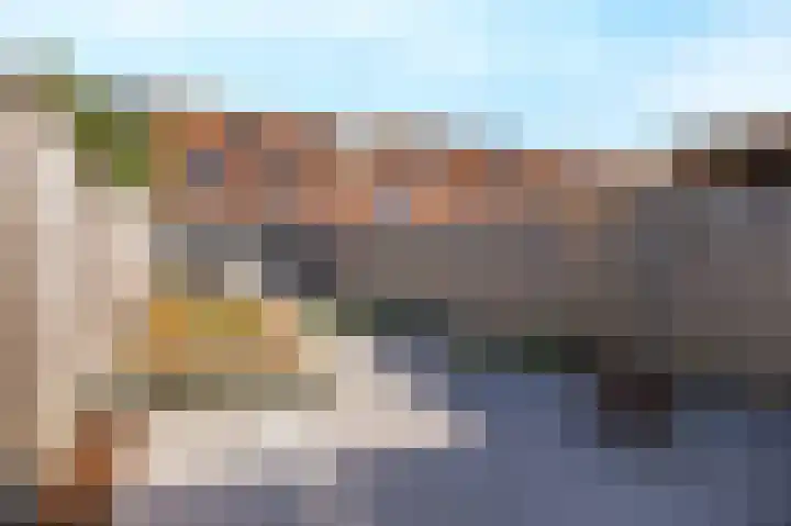 Veenmos 85 Zwolle thumbnail 17