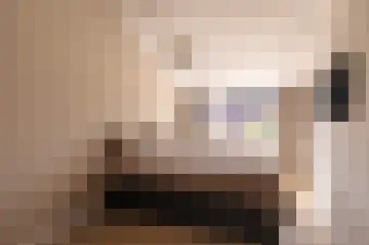 Veenmos 85 Zwolle thumbnail 22