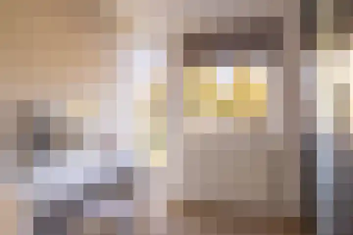 Veenmos 85 Zwolle thumbnail 26