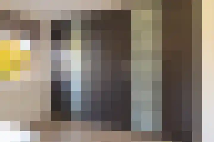 Veenmos 85 Zwolle thumbnail 27