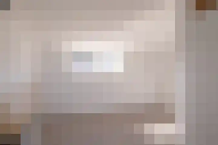Veenmos 85 Zwolle thumbnail 30