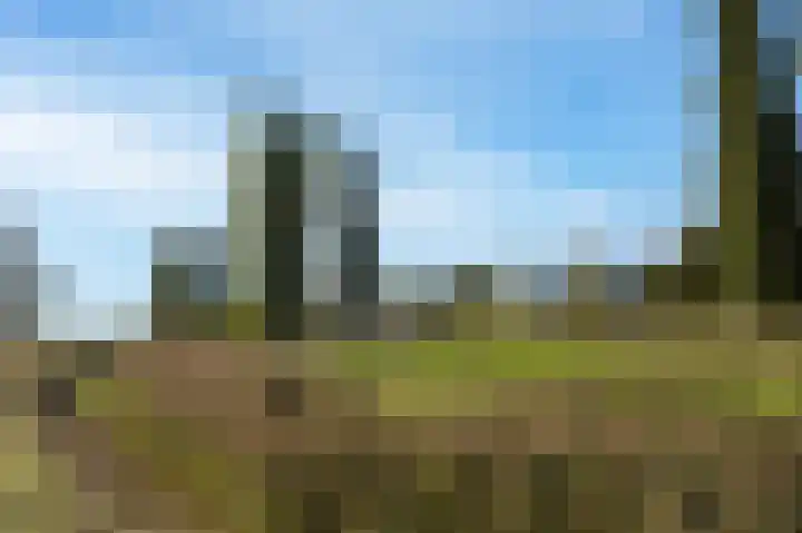 Veenmos 85 Zwolle thumbnail 33