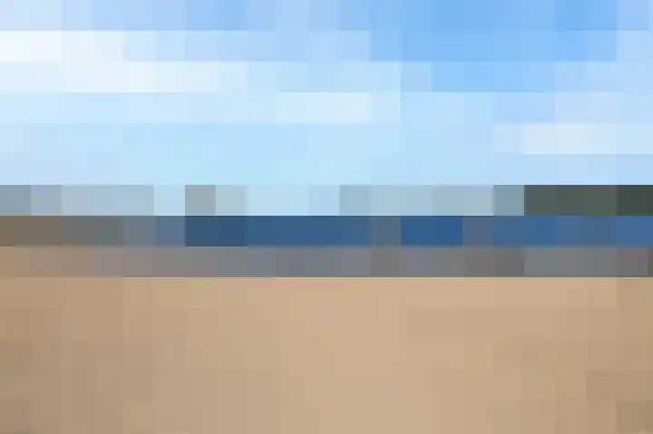 Veenmos 85 Zwolle thumbnail 34