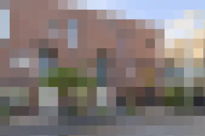 Veenmos 85 Zwolle thumbnail 36