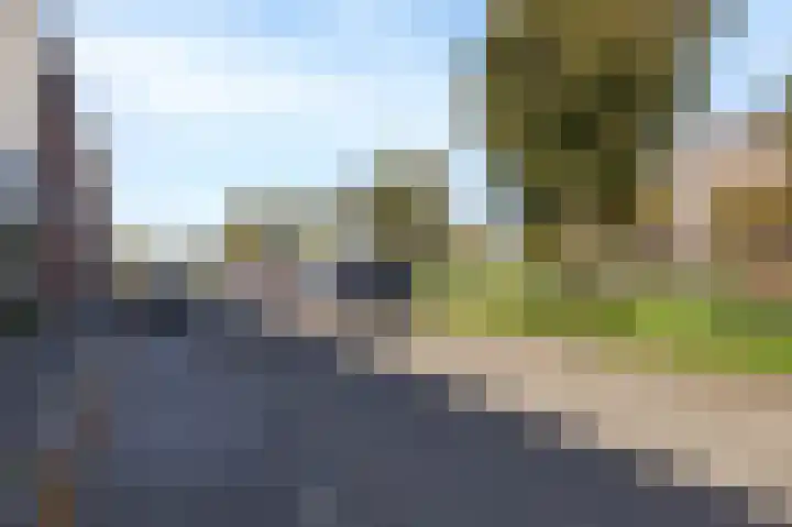 Veenmos 85 Zwolle thumbnail 37