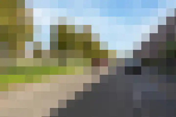 Veenmos 85 Zwolle thumbnail 38