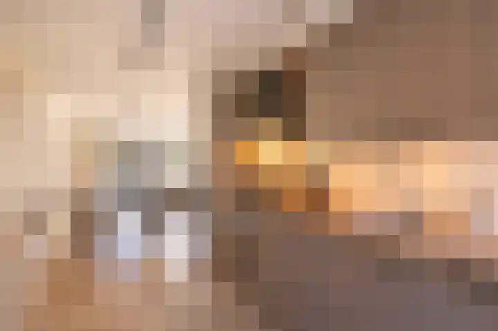 Veenmos 85 Zwolle thumbnail 4