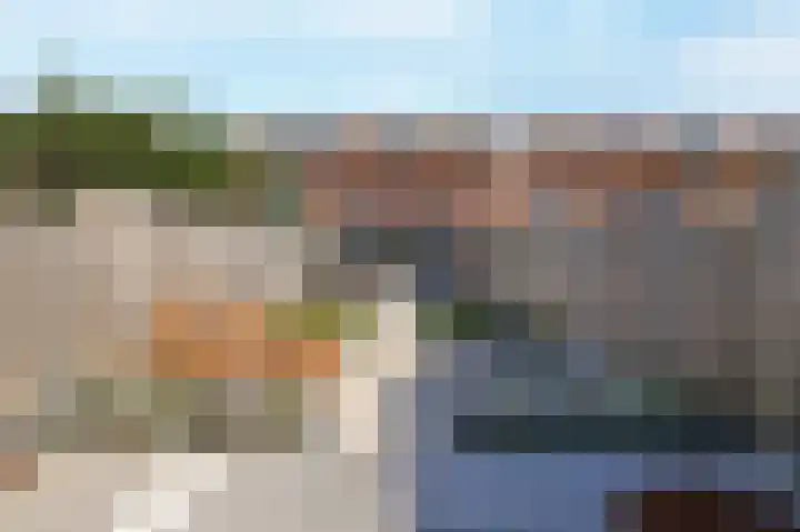Veenmos 85 Zwolle thumbnail 5