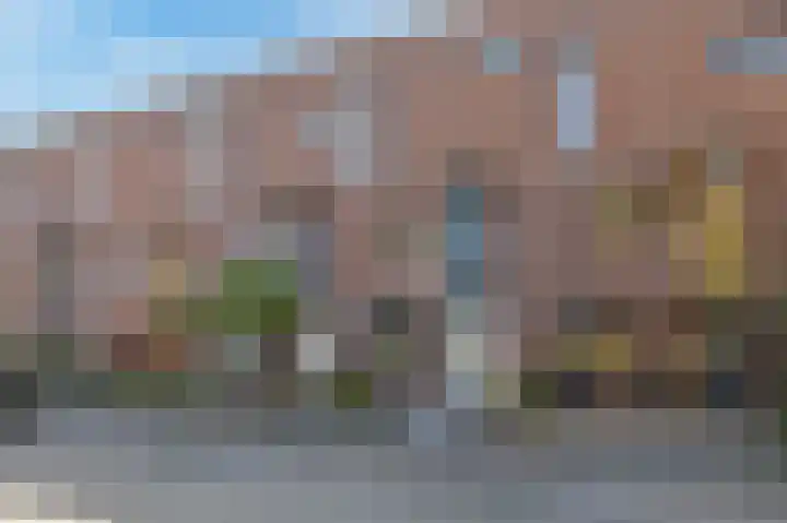Veenmos 85 Zwolle thumbnail 6