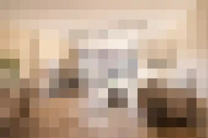 Veenmos 85 Zwolle thumbnail 8