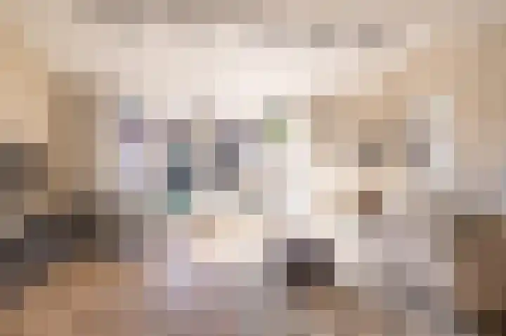 Veenmos 85 Zwolle thumbnail 9