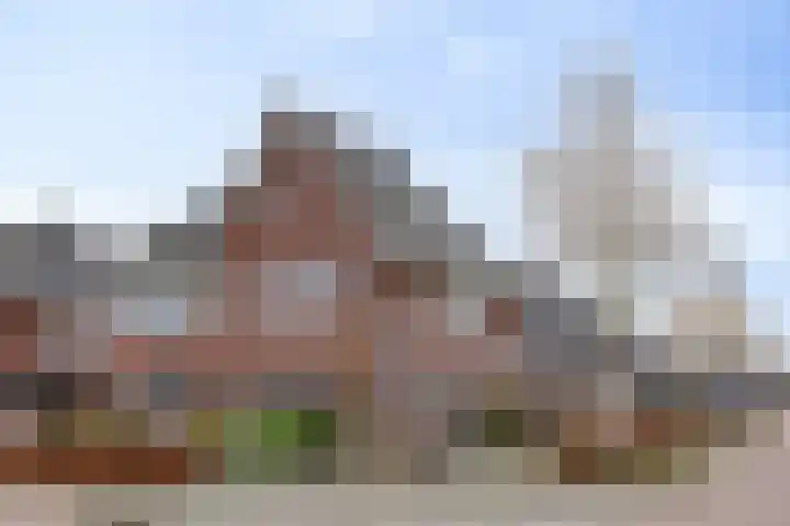 Veenmos 87 Boekel
