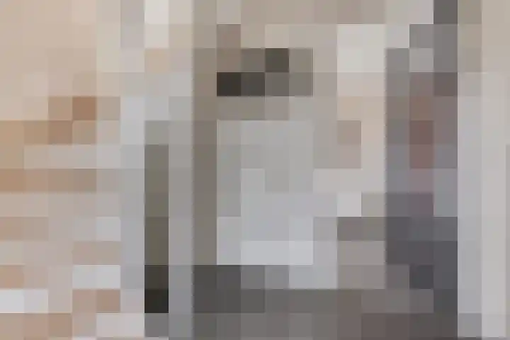 Veenmos 87 Boekel thumbnail 12