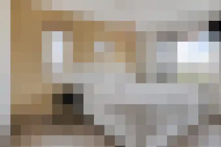 Veenmos 87 Boekel thumbnail 13