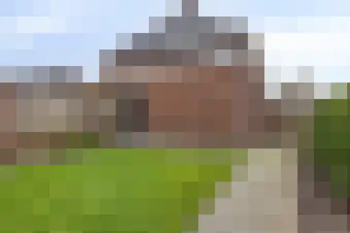 Veenmos 87 Boekel thumbnail 26
