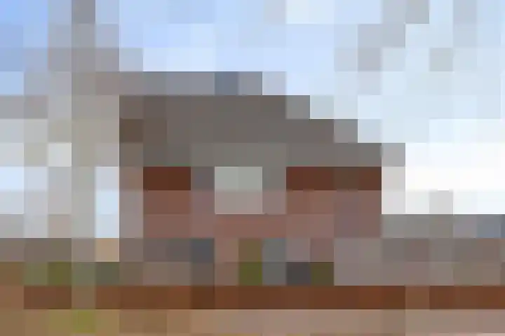 Veenmos 87 Boekel thumbnail 30