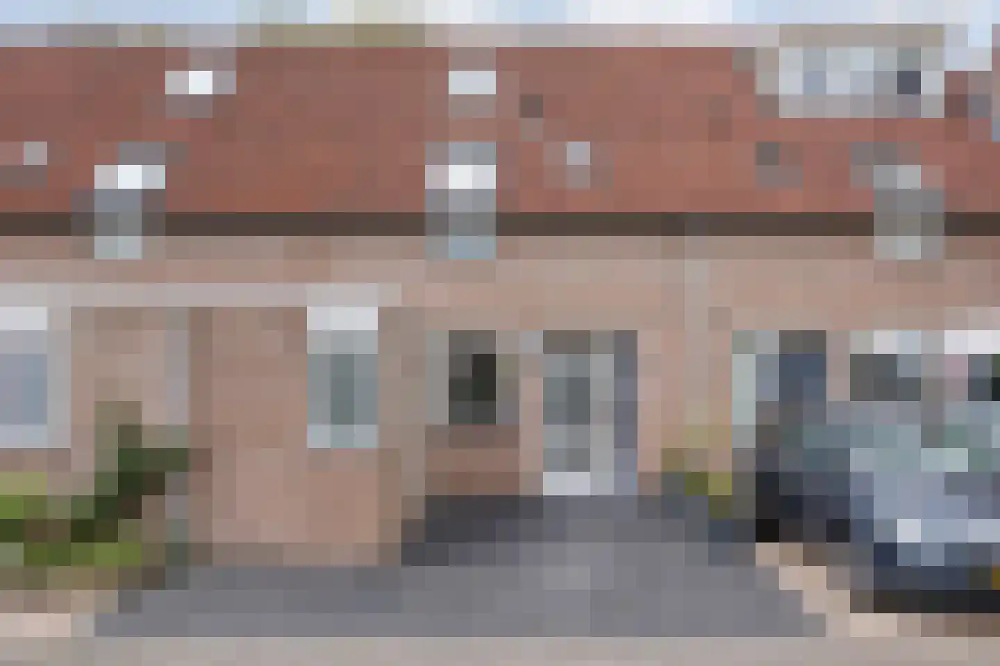 Veenmos 9 in Kampen