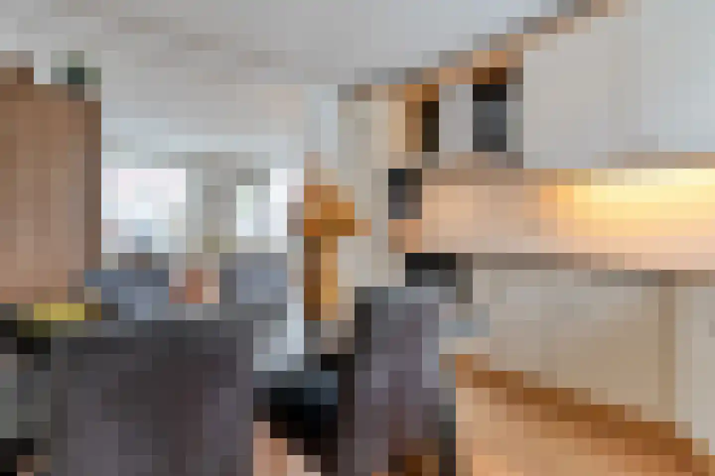 Veenmos 9 Kampen thumbnail 10