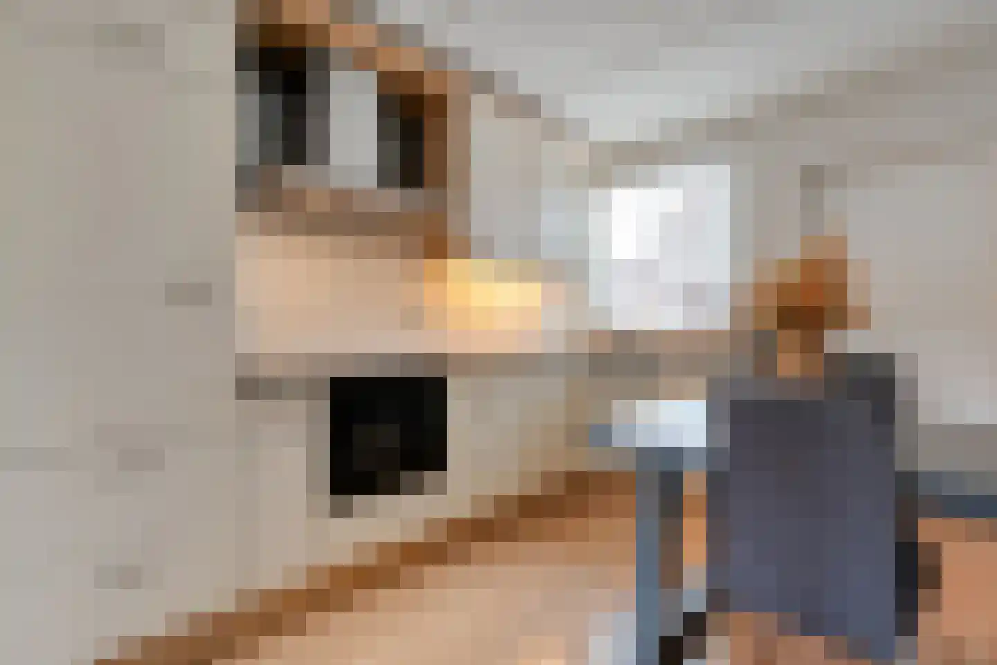 Veenmos 9 Kampen thumbnail 11