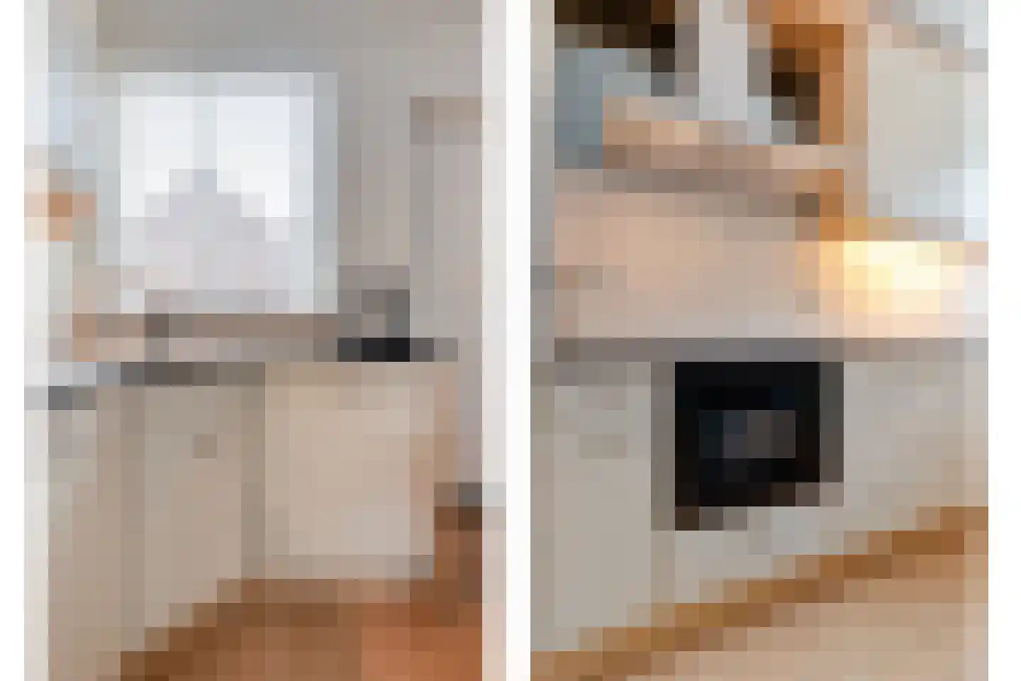 Veenmos 9 Kampen thumbnail 13