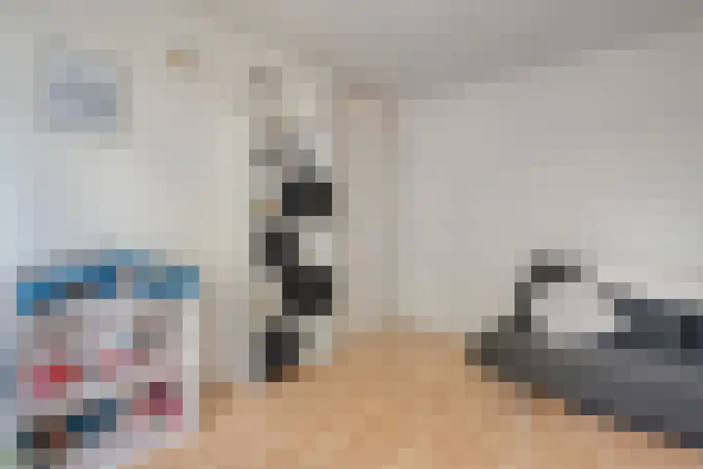 Veenmos 9 Kampen thumbnail 19