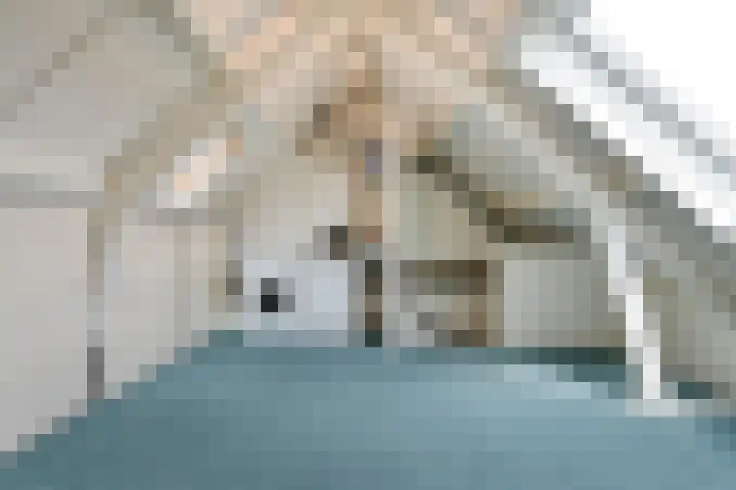 Veenmos 9 Kampen thumbnail 26