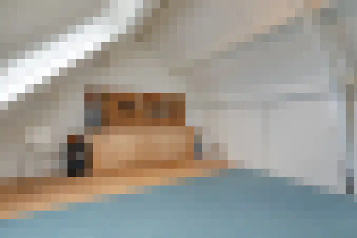 Veenmos 9 Kampen thumbnail 27