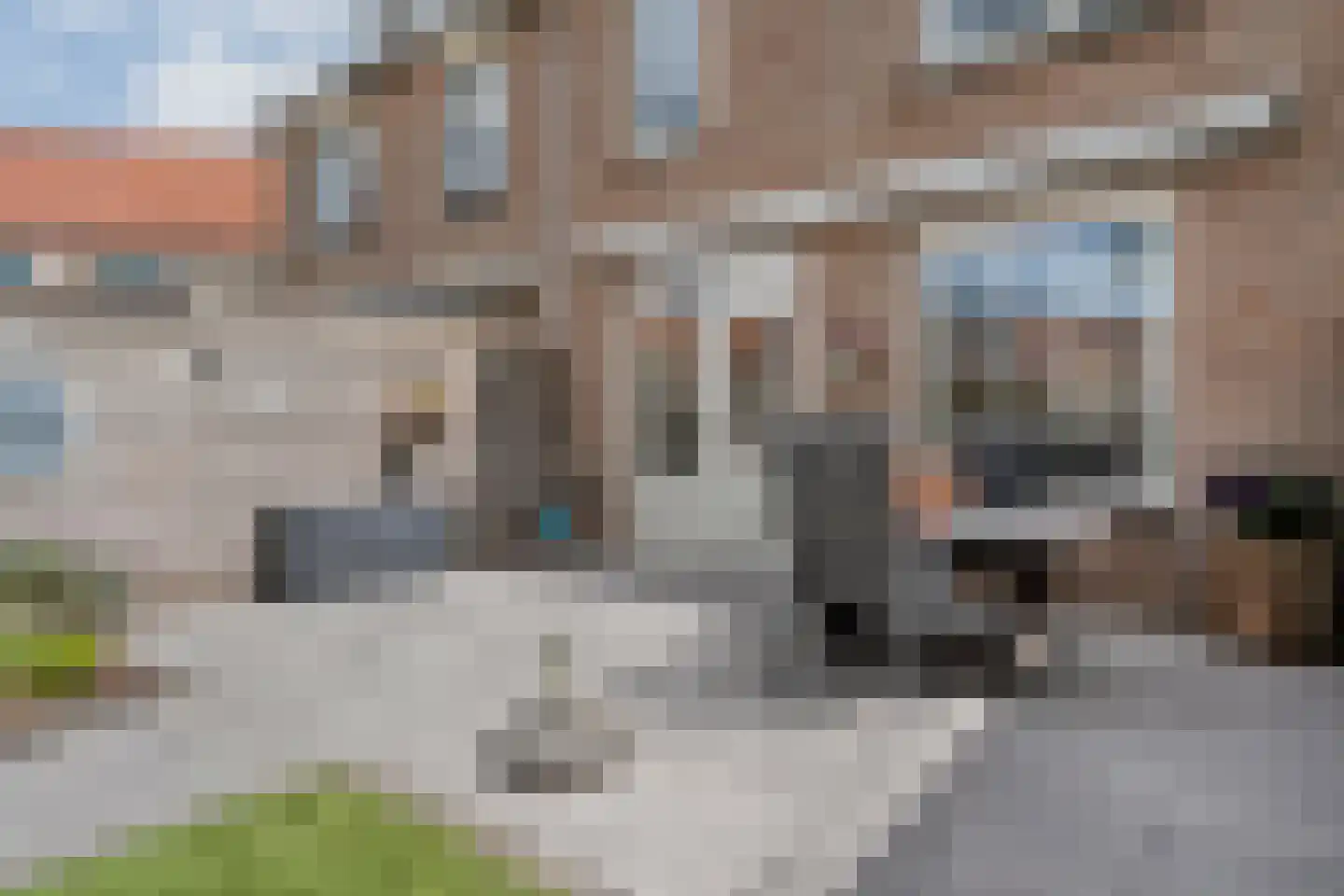 Veenmos 9 Kampen thumbnail 28