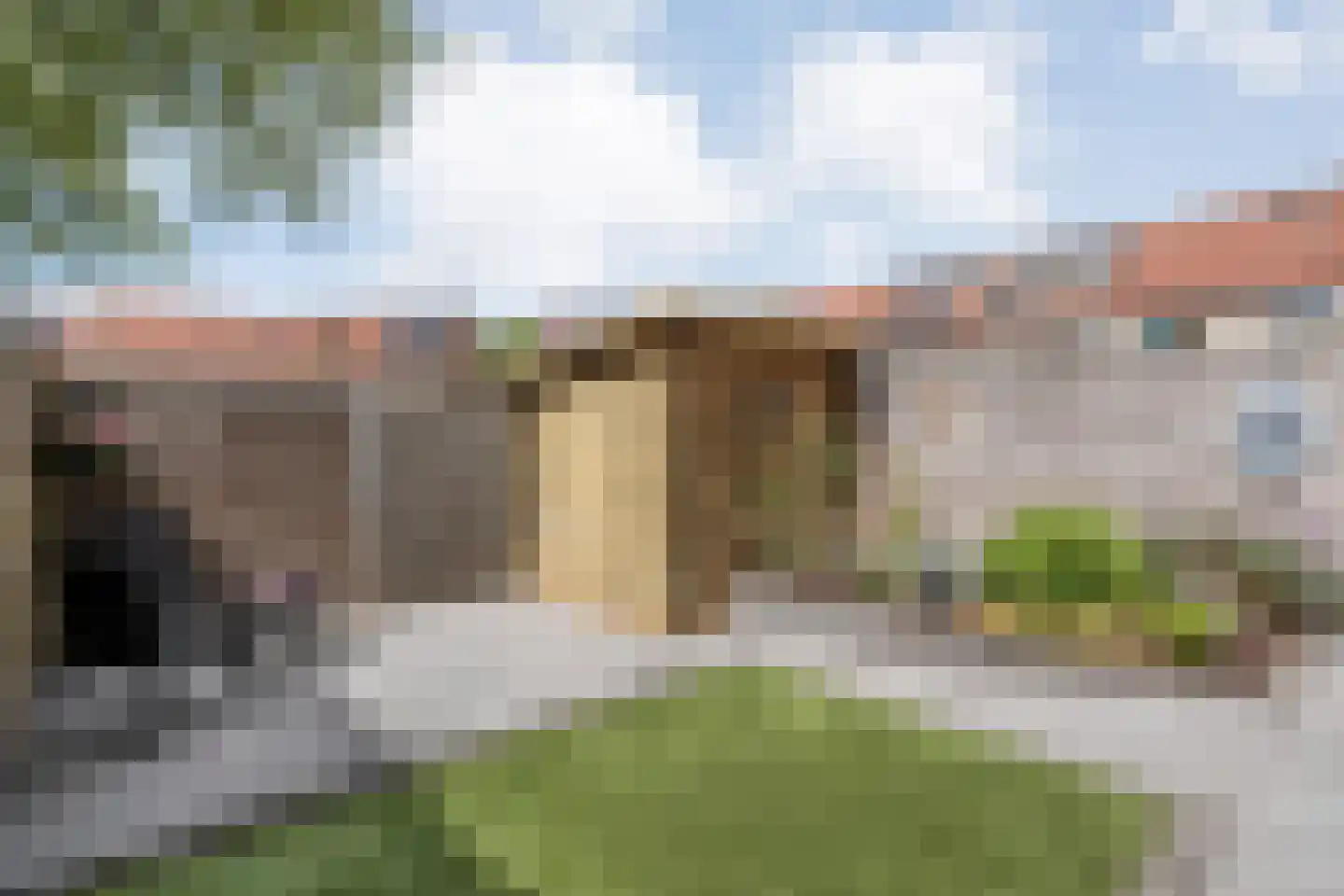 Veenmos 9 Kampen thumbnail 29