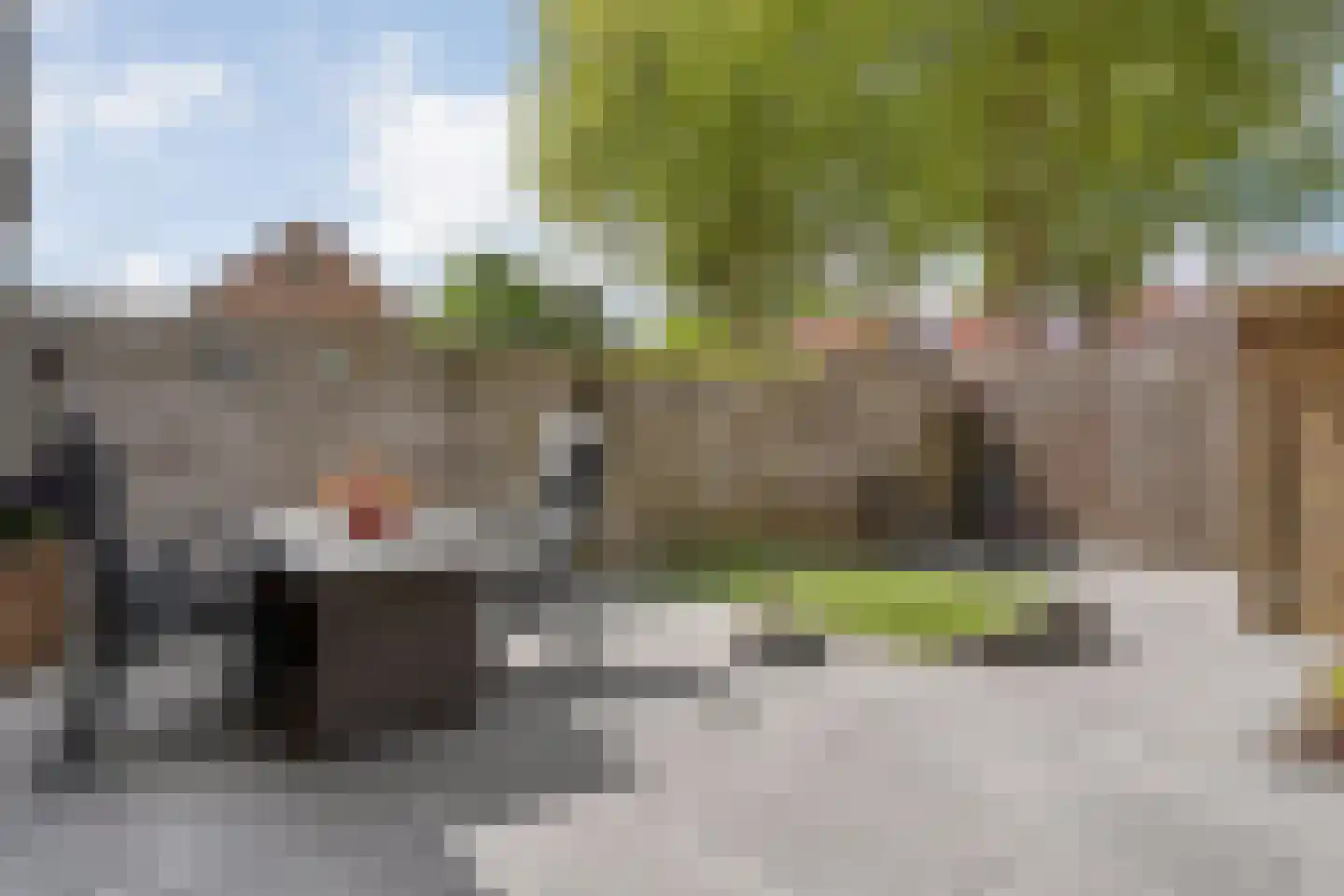 Veenmos 9 Kampen foto 3