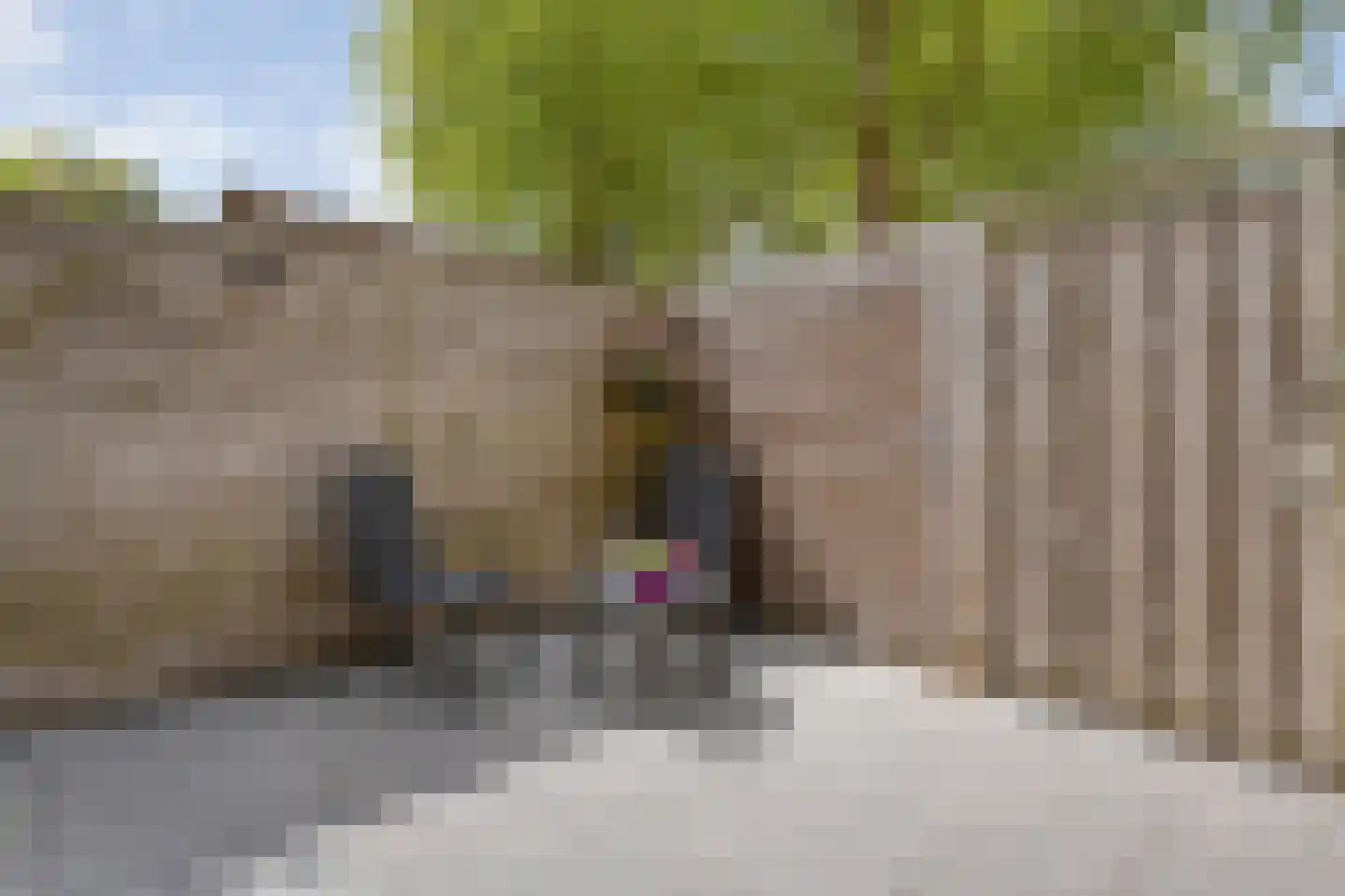 Veenmos 9 Kampen thumbnail 30