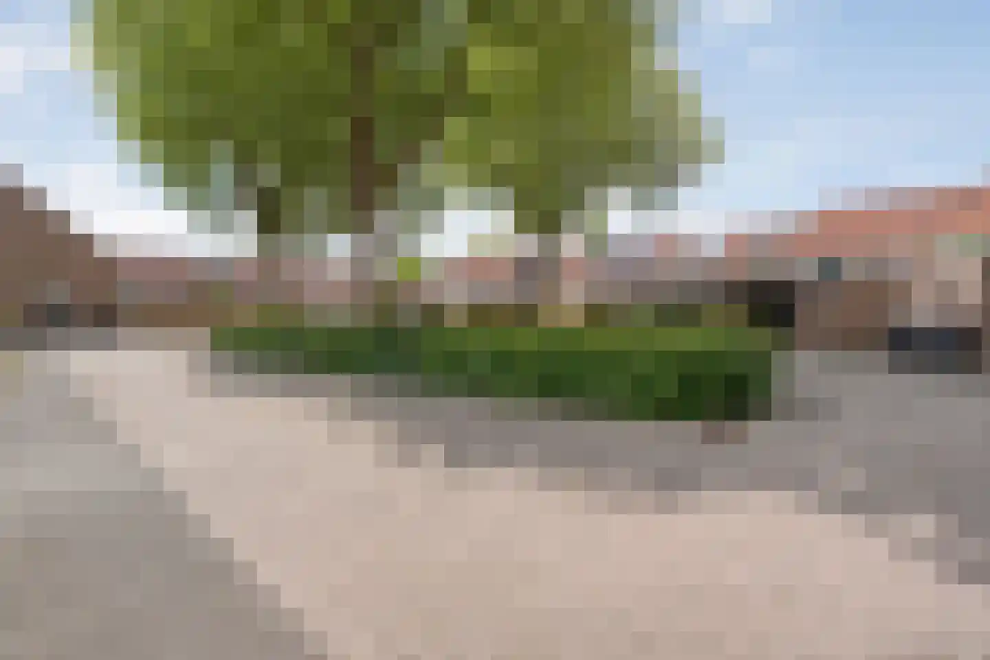 Veenmos 9 Kampen thumbnail 32