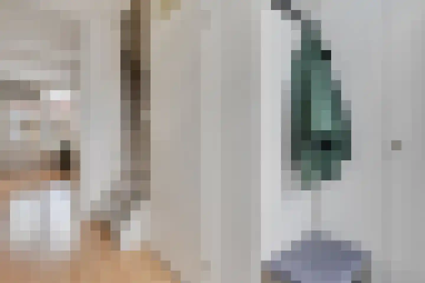 Veenmos 9 Kampen thumbnail 5
