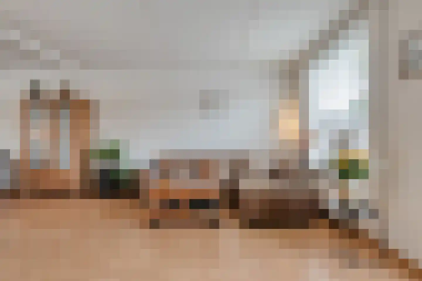 Veenmos 9 Kampen thumbnail 8
