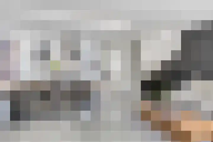 Veenmos 9 Reeuwijk thumbnail 11