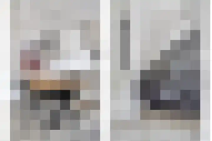 Veenmos 9 Reeuwijk thumbnail 12