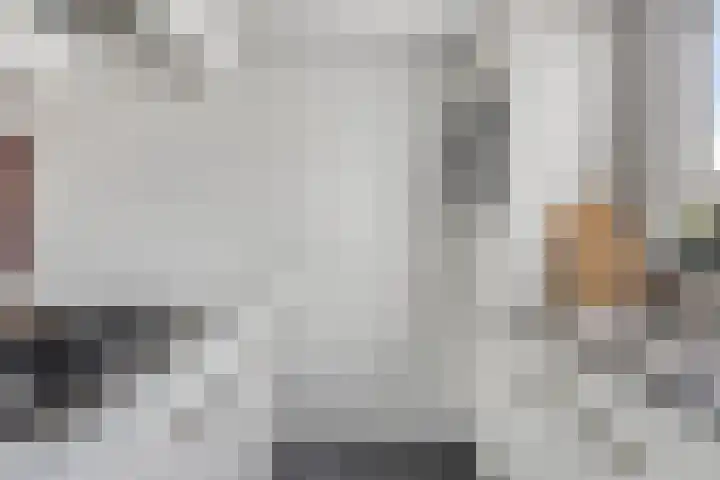 Veenmos 9 Reeuwijk thumbnail 14