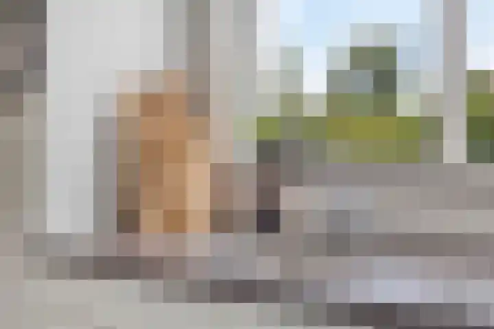 Veenmos 9 Reeuwijk thumbnail 15