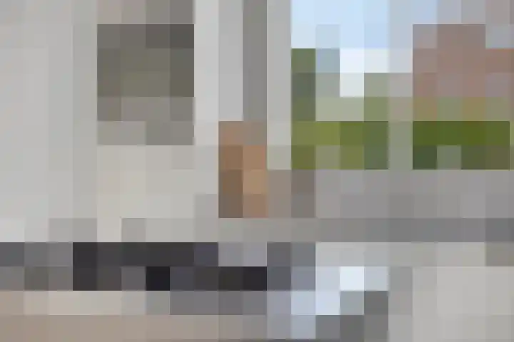 Veenmos 9 Reeuwijk thumbnail 16
