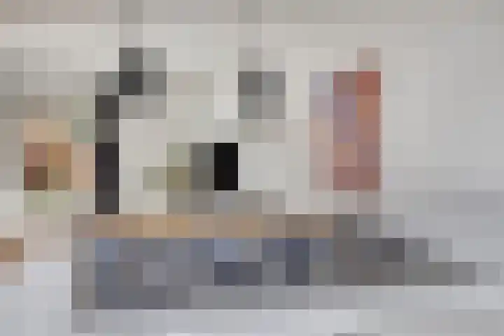 Veenmos 9 Reeuwijk thumbnail 17