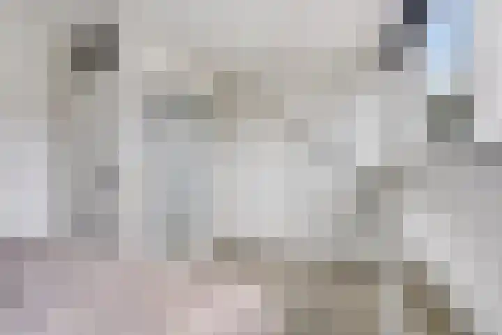 Veenmos 9 Reeuwijk thumbnail 20