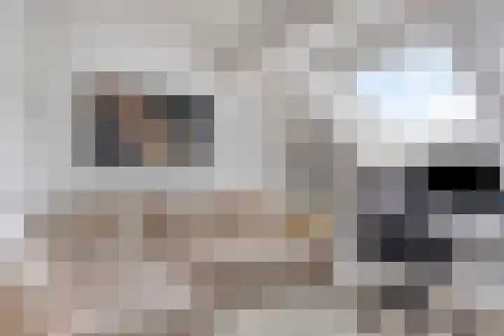 Veenmos 9 Reeuwijk thumbnail 24