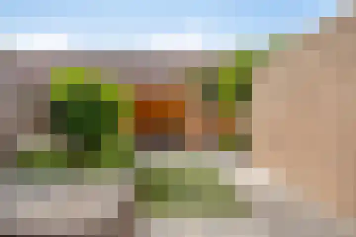 Veenmos 9 Reeuwijk thumbnail 26