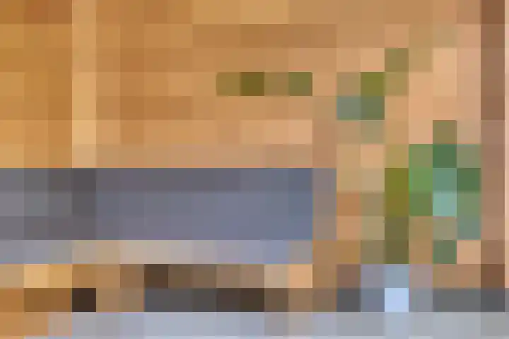 Veenmos 9 Reeuwijk thumbnail 28