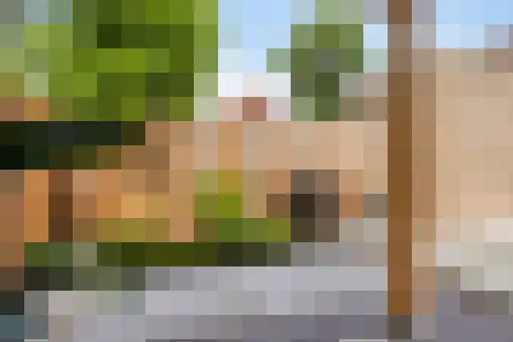 Veenmos 9 Reeuwijk thumbnail 29
