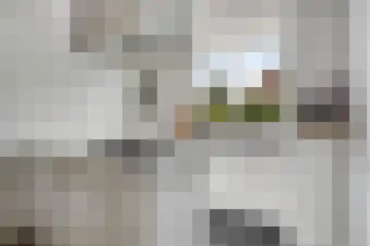 Veenmos 9 Reeuwijk foto 3